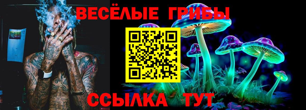Псилоцибиновые грибы MAGIC MUSHROOMS Донской